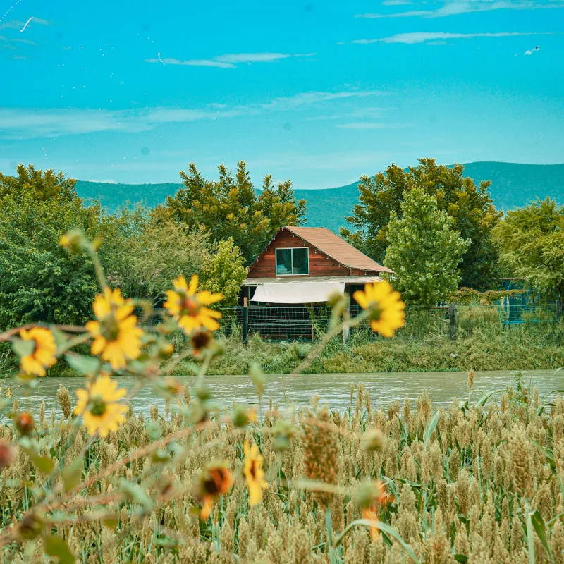 GLAMPING TIPO CABAÑA "HERA”