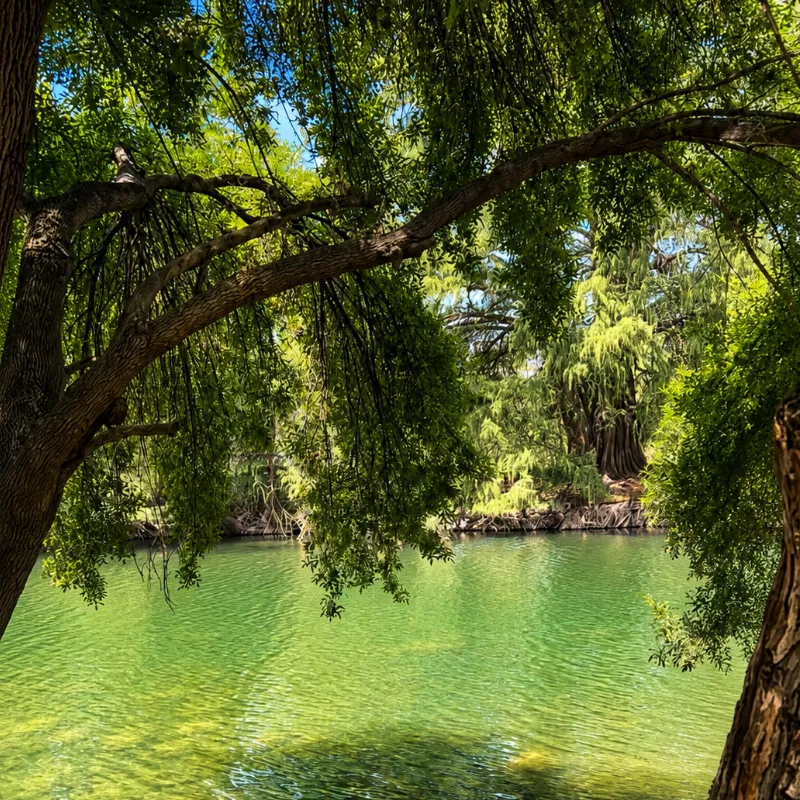 Rio Nazas Sapioris Dgo