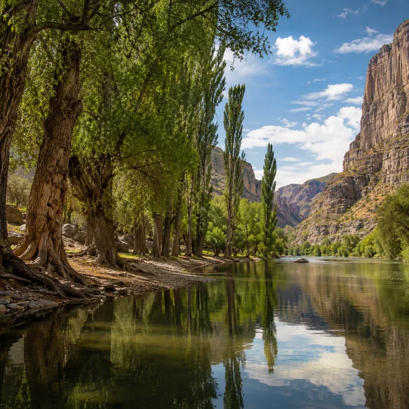 Río Nazas entre sabinos en el Cañón de Fernández