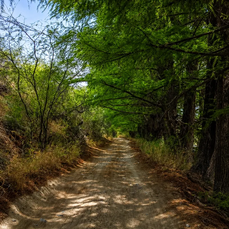 caminos Sapioris Durango , cañon de fernandez rio nazas glamping laguna